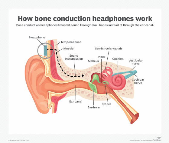 how bone conduction headphones work