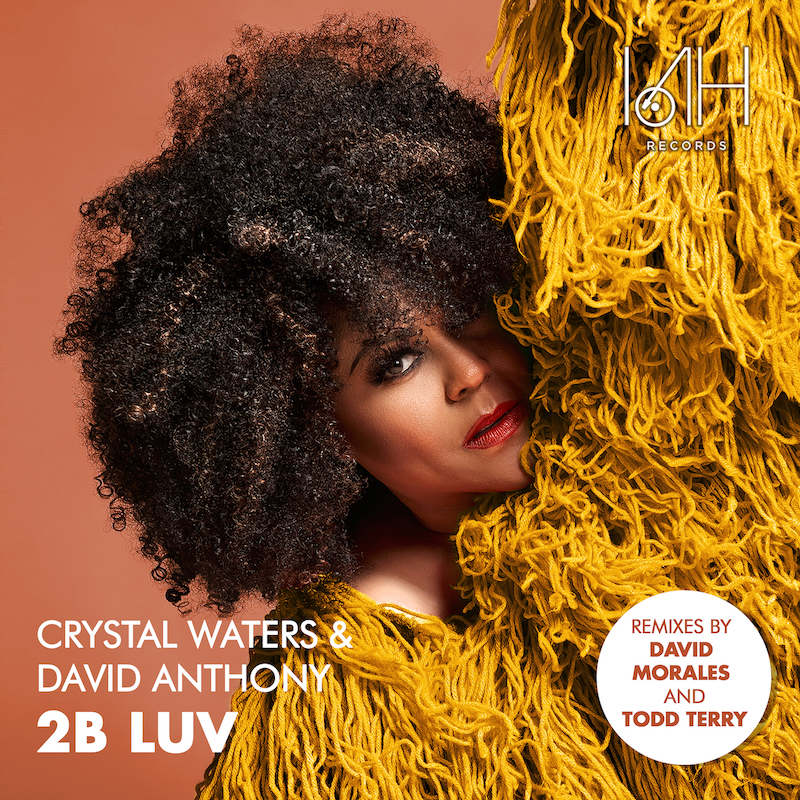 House Music Queen Crystal Waters Unveils 3rd Set of Remixes ft. Todd Terry, David Morales for “2B LUV”